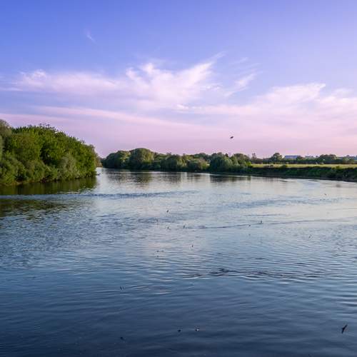 Photo #13292770