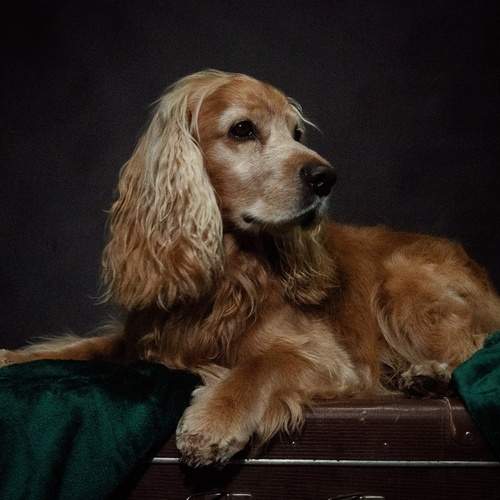 Photo #13292984