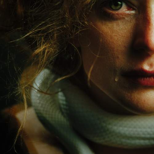 Фотография #13293111