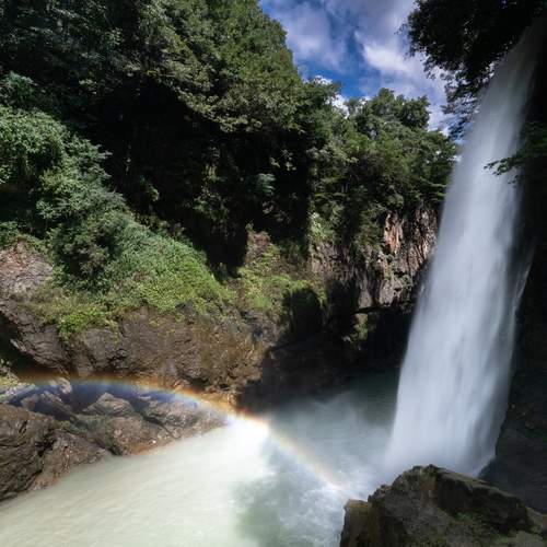 Photo #13293164