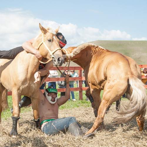Photo #13293184