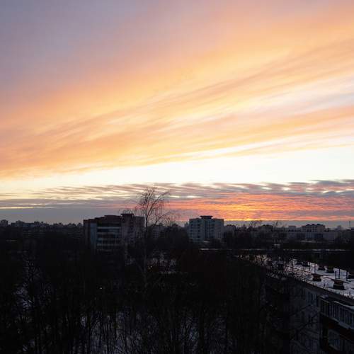 Photo #13293236