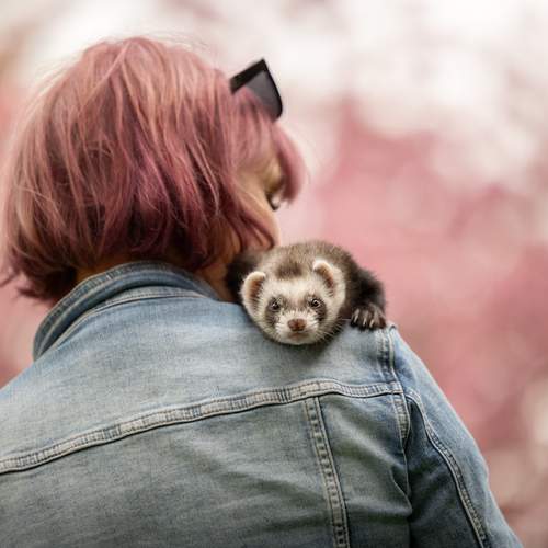 I\'ll show you the world