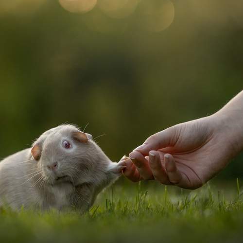 Even in darkness I will find you