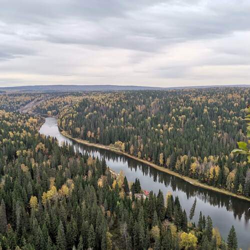 Photo #13293391