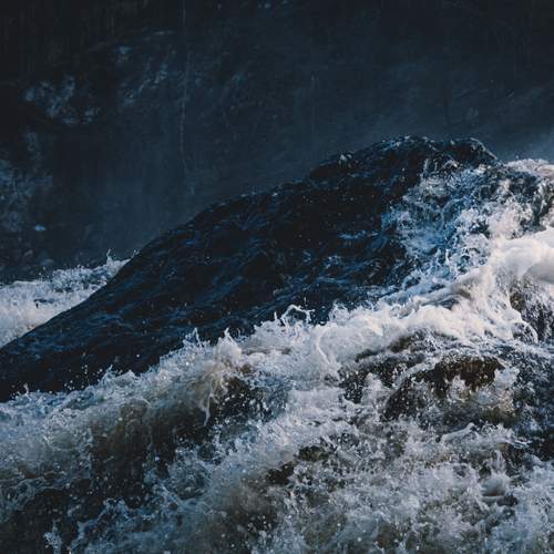 Photo #13293561