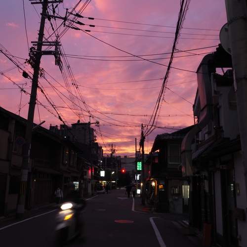 Photo #13293596