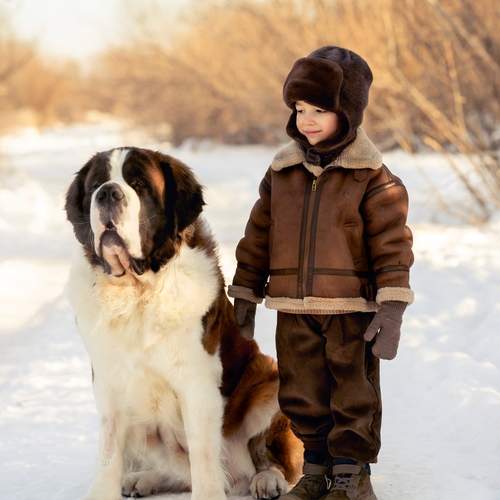 Photo #13293668