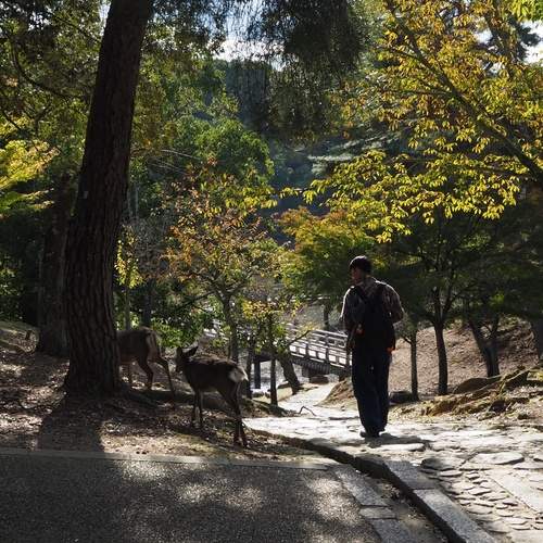 Photo #13293683