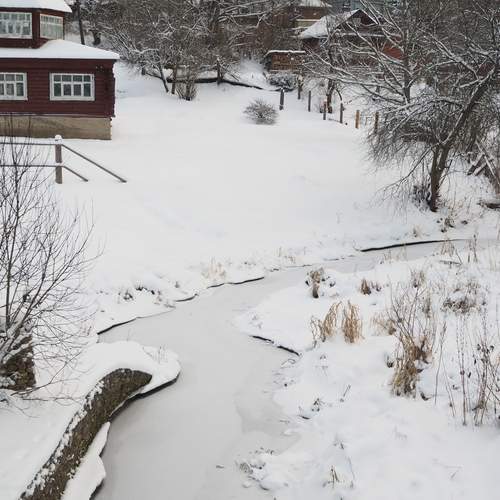 Photo #13293744
