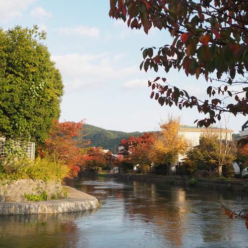 Photo #13293745