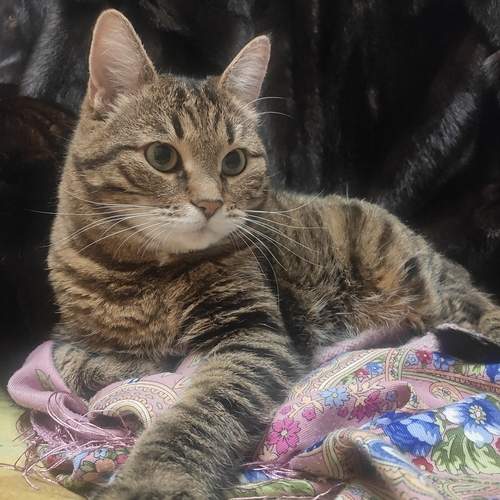 Photo #13294004