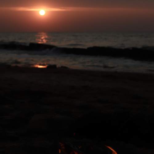 Photo #13294060