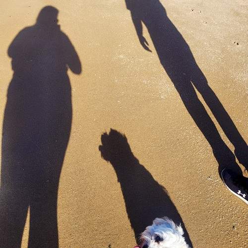 Photo #13294078