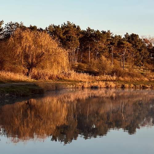 Золотое зеркало