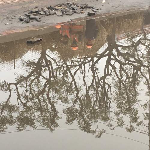 reflection of life