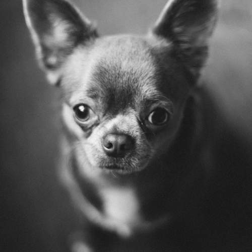 Photo #13294152