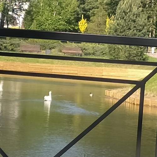 Photo #13294225