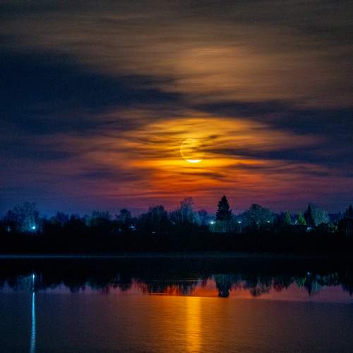 Photo #13294367