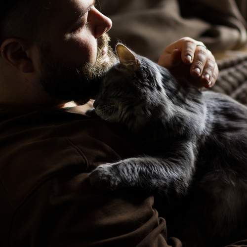Photo #13294432