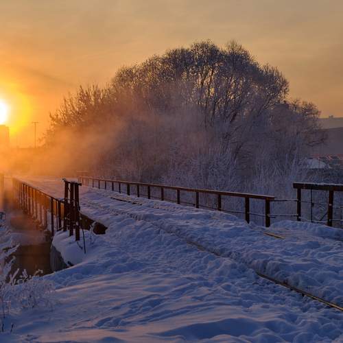 Photo #13294438
