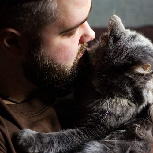 Photo #13294443