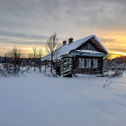 Photo #13294487