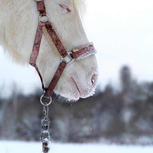 Photo #13294768