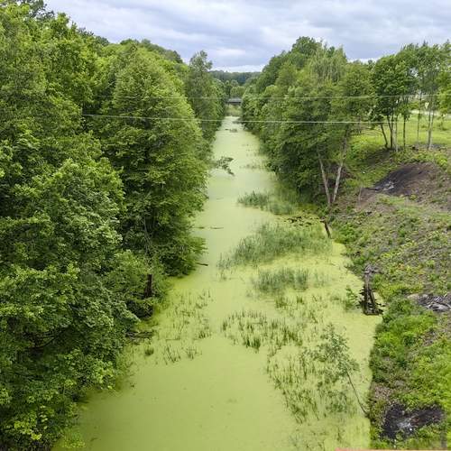 Photo #13294825