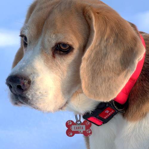Photo #13294849