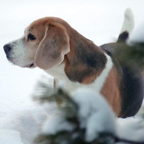 Photo #13294850