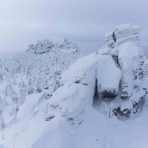 Photo #13294933