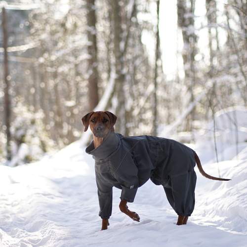 Photo #13294963