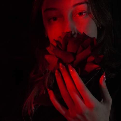 Photo #13295032