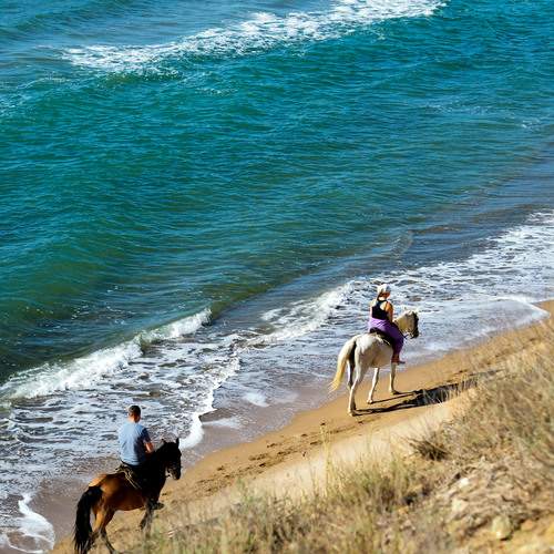 Photo #13295040