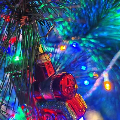 Photo #13295043