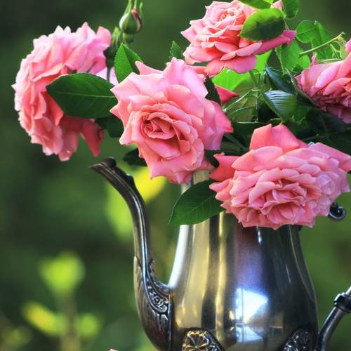 Photo #13295085