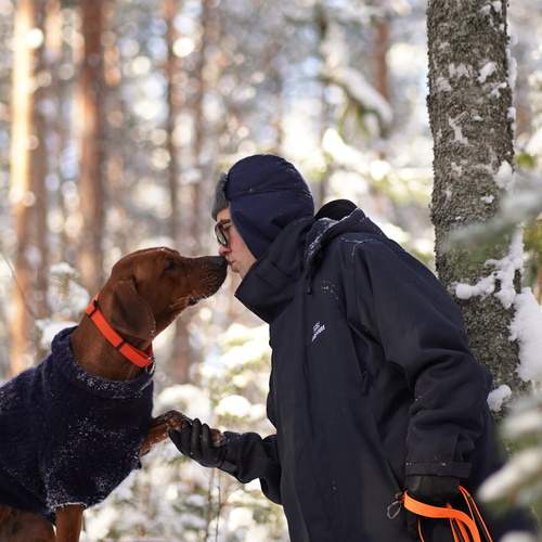Photo #13295117