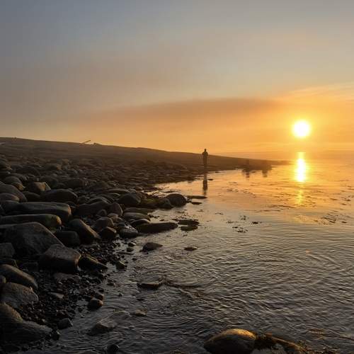 Photo #13295132
