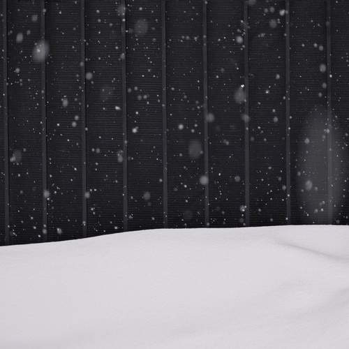 Photo #13295331
