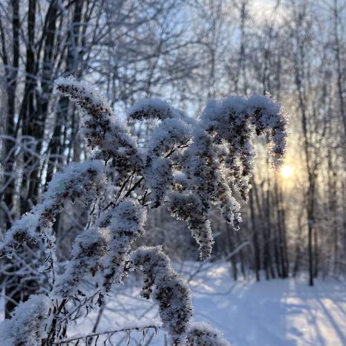 Photo #13295336