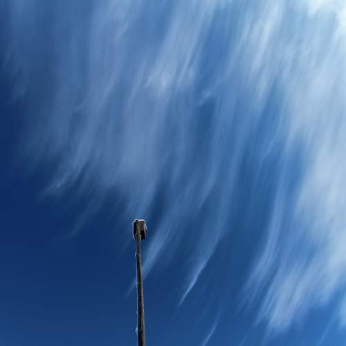Photo #13295404