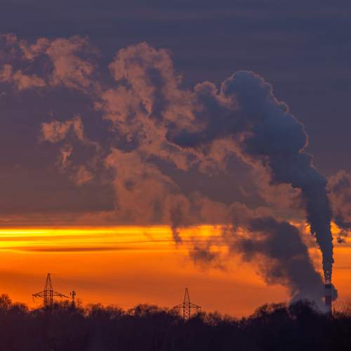 Photo #13295579