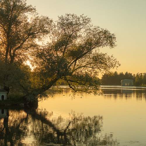 Photo #13295694