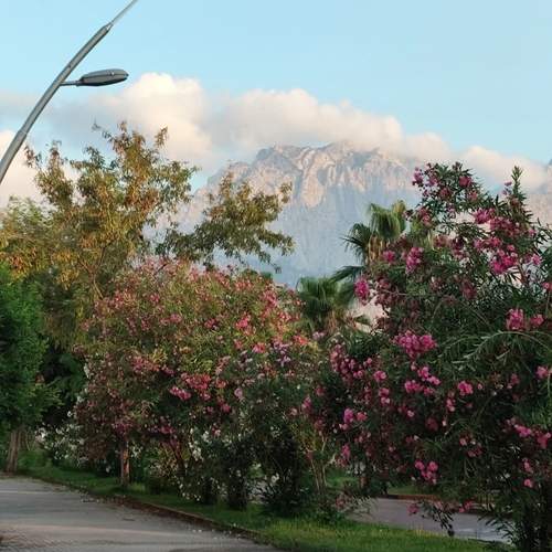Photo #13295720