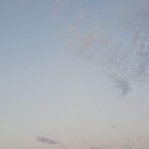 Photo #13295805