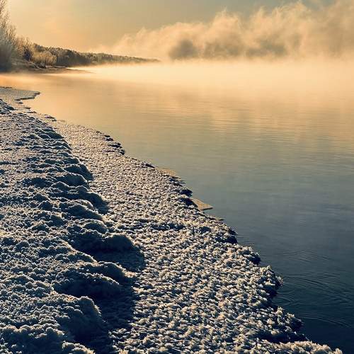 Photo #13296010