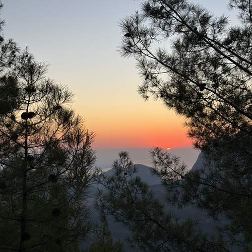 Photo #13296074