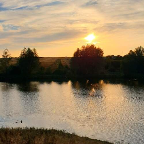 Photo #13296215