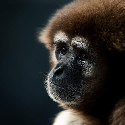 Photo #13296321